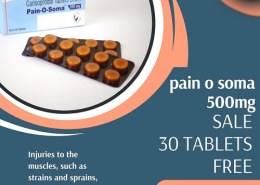 Pain O Soma 500Mg | The Best Pain Relief