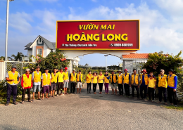 khiến cho giàu từ phôi mai vàng