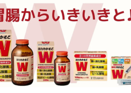 若元錠可以長期吃嗎？Wakamoto 成分、功效是什麼？