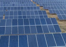 Rajasthan Solar Park: Harnessing the Power of the Sun for a Sustainable Future?