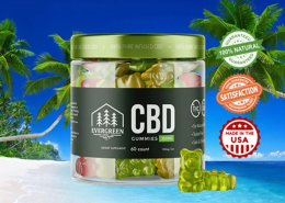 Evergreen Farms CBD Gummies – Natural Relief for Pain, Stress & Better Sleep!