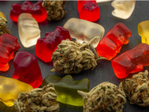 Bliss Harmony CBD Gummies do they really help