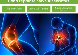 Wellnee Pain Relief Patches