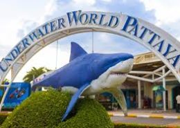 Dive Into Pattaya Underwater World – Book Discounted Tickets & Save.